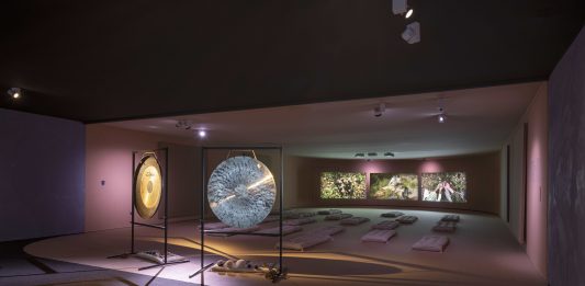 El Museo Nacional Thyssen-Bornemisza y TBA21 presentan ‘El tercer polo’