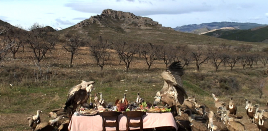 Este viernes, el Condeduque (Madrid) presenta ‘Pan y circo’