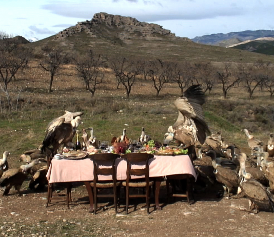 Este viernes, el Condeduque (Madrid) presenta ‘Pan y circo’