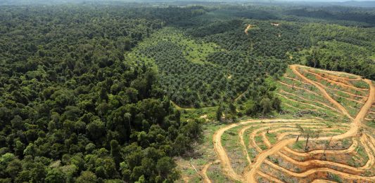 Inscripciones abiertas: ‘Territorio Ectoplasma’