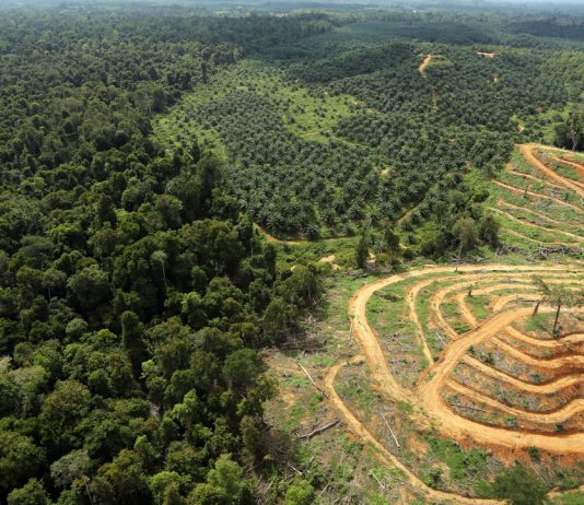 Inscripciones abiertas: ‘Territorio Ectoplasma’