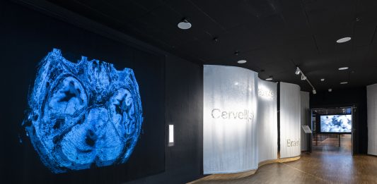 Últimos días para ver ‘Cervell(s)’ en el CCCB (Barcelona)