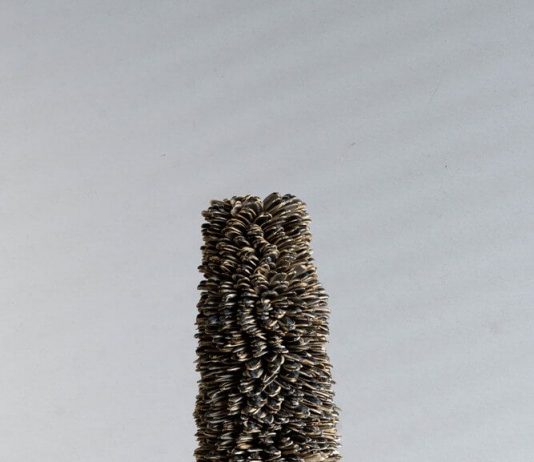 Último mes para ver 3 exposiciones en el Domus Artium 2002 (Salamanca)