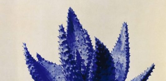 El CAC Málaga presenta una visión retrospectiva de la obra de Miquel Navarro