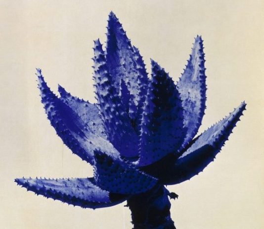 El CAC Málaga presenta una visión retrospectiva de la obra de Miquel Navarro