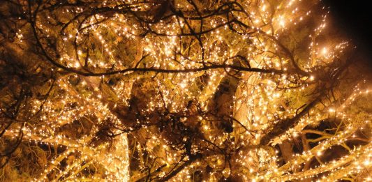 ‘Nadal a Barcelona’, una programación especial para el mes de diciembre