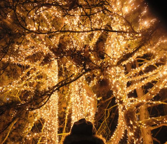 ‘Nadal a Barcelona’, una programación especial para el mes de diciembre