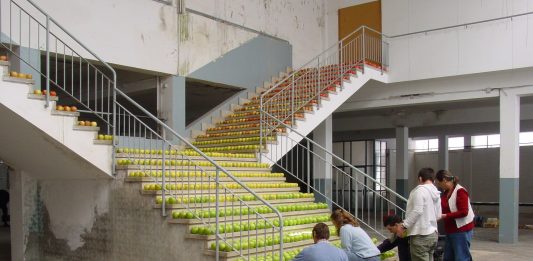 La Panera (Lleida) acoge un taller sobre la accesibilidad y mediación institucional