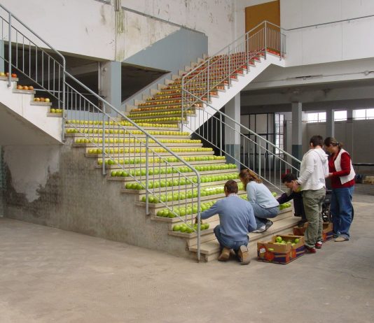 La Panera (Lleida) acoge un taller sobre la accesibilidad y mediación institucional