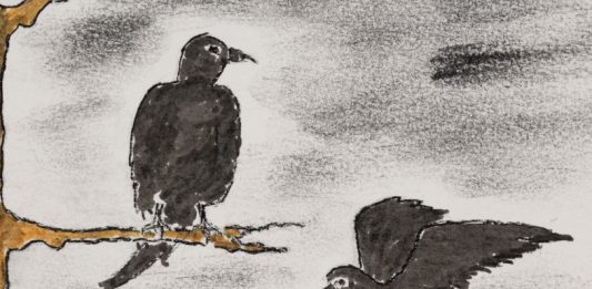 La Virreina Centre de la Imatge (Barcelona) acoge ‘Desexilio’, una exposición de Jean Wyllys