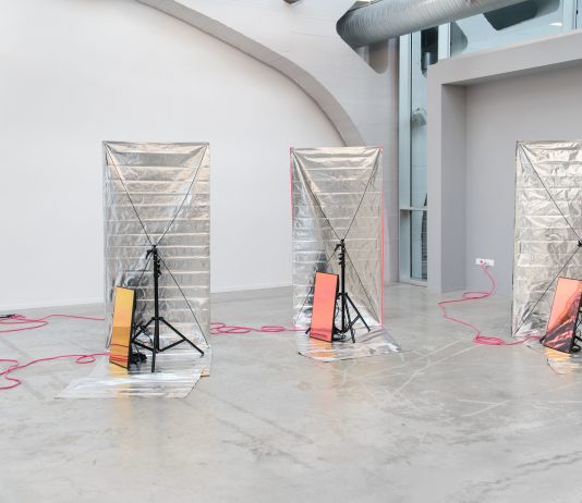 Se anuncia lxs ganadores del Premio S+T+ARTS – Gran Premio de la Comisión Europea