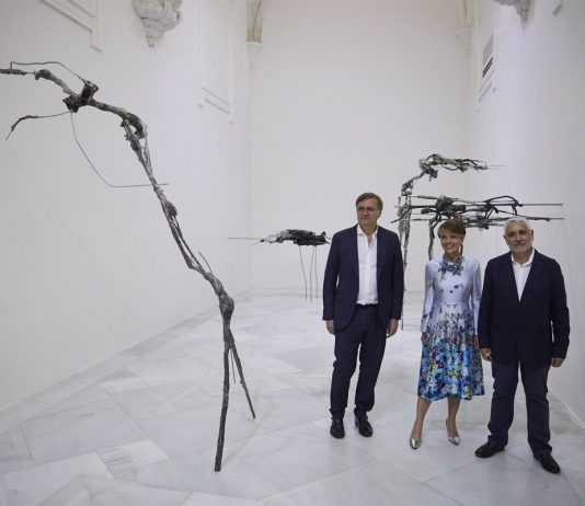 El CAAC (Sevilla) aumenta un 18% en visitas en 2022