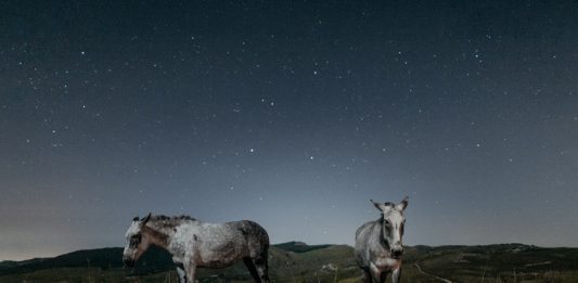 Para ARCO, el Istituto Italiano di Cultura di Madrid inaugura 3 exposiciones