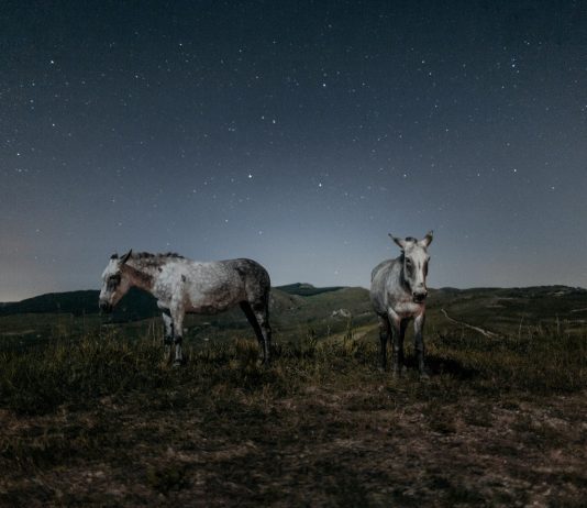 Para ARCO, el Istituto Italiano di Cultura di Madrid inaugura 3 exposiciones