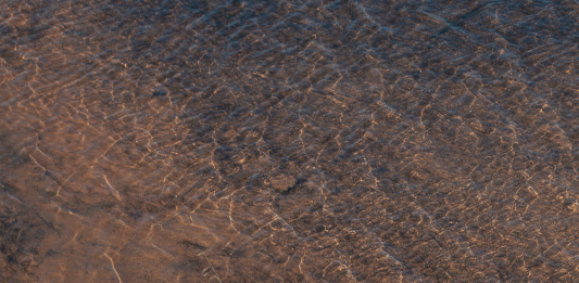 Hauser & Wirth (Menorca) vuelve a abrir el 2 de abril con una jornada de actividades