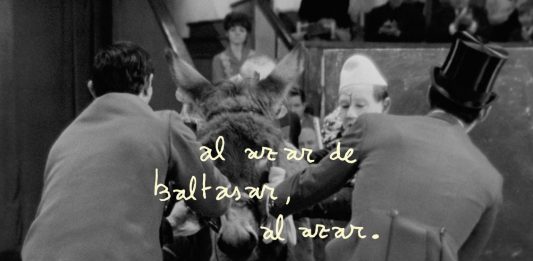 Dentro del marco de PhotoAlicante, Rafael Guijarro expone en Las Cigarreras (Alacant)