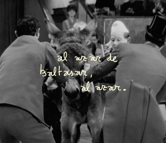 Dentro del marco de PhotoAlicante, Rafael Guijarro expone en Las Cigarreras (Alacant)