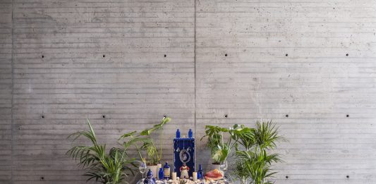 TBA21 comparte información en relación con su nuevo programa de estudios