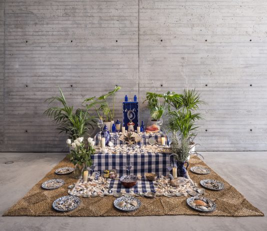 TBA21 comparte información en relación con su nuevo programa de estudios