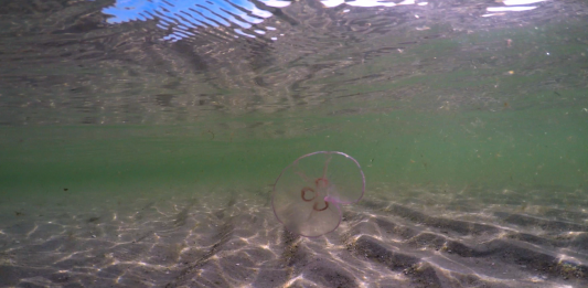 El MACBA (Barcelona) acoge ‘Corpus Infinitum’ de Denise Ferreira da Silva y Arjuna Neuman