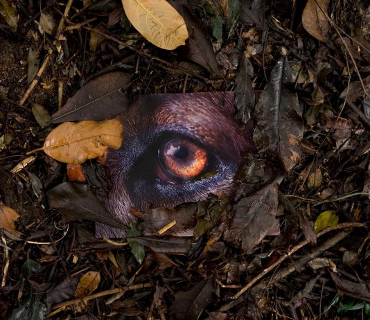 El artista catalán Daniel Steegmann Mangrané inaugura en Kiasma (Helsinki, Finlandia).