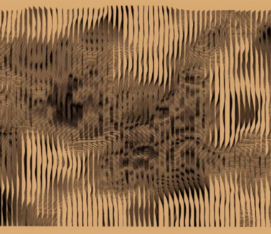 Vega de Agua (Gran Canaria) comparte información sobre sus nuevas residentes