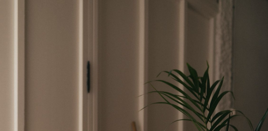 L21 (Palma) publica información sobre su nuevo espacio