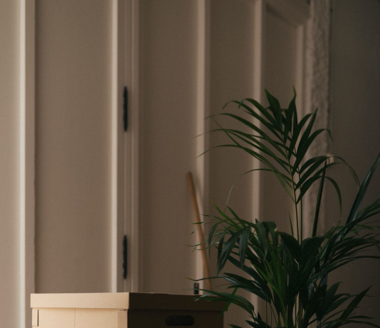 L21 (Palma) publica información sobre su nuevo espacio