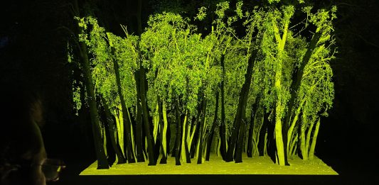 Nace Festivales Terres de l’Ebre para dar voz y visibilidad a la cultura local