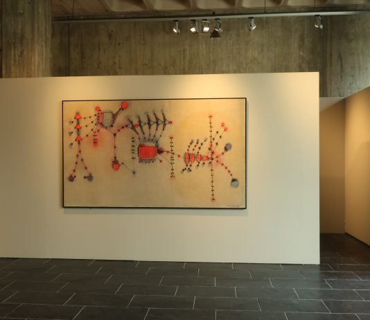 El Museu de Granollers acoge ‘Artròpodes, centpeus, espiadimonis i llagostes de mar’ de Magda Bolumar