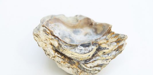 Galería de Arte A Ciegas (Madrid) inaugura la exposición ‘Entorno Inmediato’ de Valeria Real