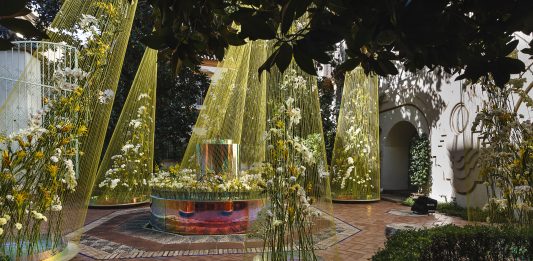 exibart.es destaca: ¿por qué la flor? Conversaciones con participantes en la 6a edición de FLORA (Córdoba)