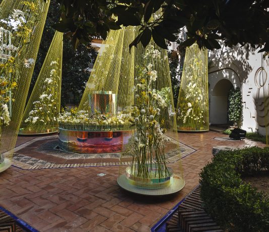 exibart.es destaca: ¿por qué la flor? Conversaciones con participantes en la 6a edición de FLORA (Córdoba)