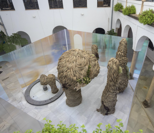 FLORA Festival Internacional de las Flores abre la 3a edición de su convocatoria