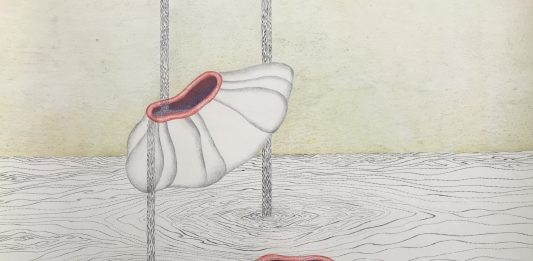 La Fundació Suñol (Barcelona) presenta una exposición monográfica de Neus Frigola