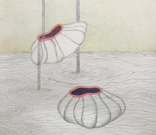 La Fundació Suñol (Barcelona) presenta una exposición monográfica de Neus Frigola