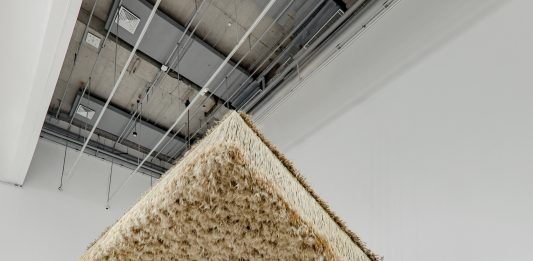 Tadao Cern y Flowers by Bornay son las primeras confirmaciones de FLORA 2023 (Córdoba)