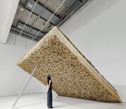 Tadao Cern y Flowers by Bornay son las primeras confirmaciones de FLORA 2023 (Córdoba)