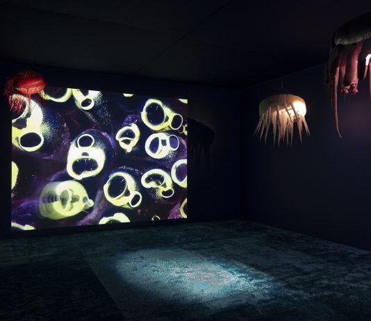 TBA21 avanza información sobre su nueva exposición ‘Inteligencia líquida’