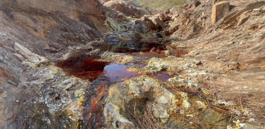 TBA21 anuncia las nuevas propuestas artísticas que se incluirán en la actualización de ‘Remedios’ en el C3A (Córdoba)