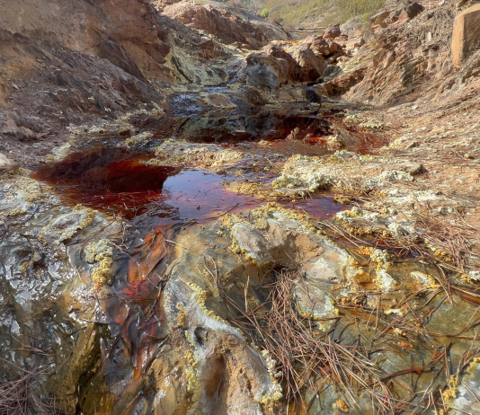 TBA21 anuncia las nuevas propuestas artísticas que se incluirán en la actualización de ‘Remedios’ en el C3A (Córdoba)