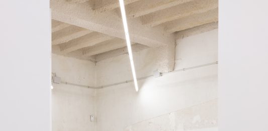 Dilalica (Barcelona) acoge ‘Te enseñaré todo lo que he visto’