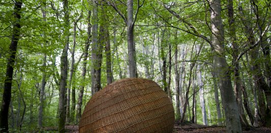 Para Apertura Madrid Gallery Weekend, la galería Lucía Mendoza celebra una exposición dual