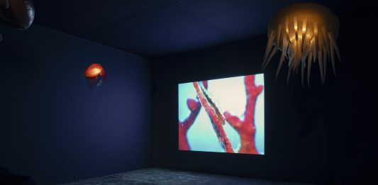 En un mes se inaugura ‘Inteligencia líquida;’ proyecto de TBA21