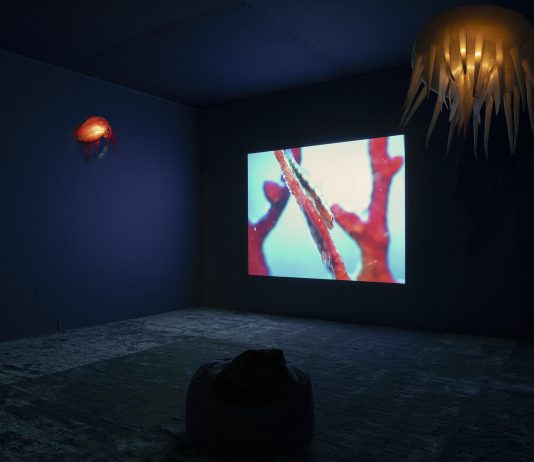 En un mes se inaugura ‘Inteligencia líquida;’ proyecto de TBA21