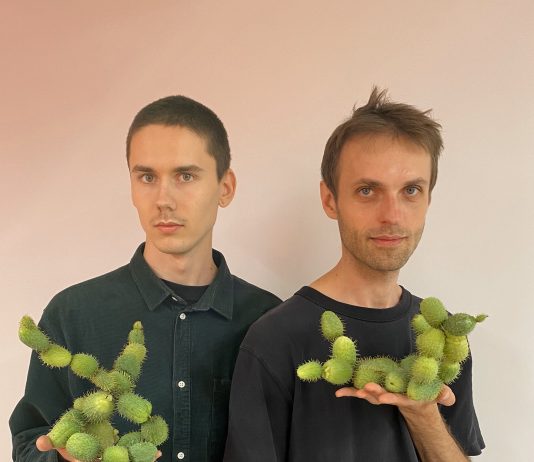 Se anuncia el ganador de la convocatoria Patio Talento de FLORA (Córdoba)