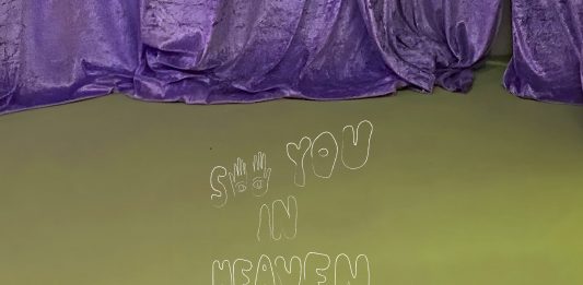 FASE (Hospitalet de Llobregat) inaugura ‘See You in Heaven’ de Linnea Hansander