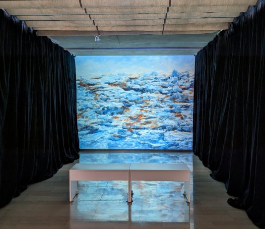 ‘Abelló, un paisatge imaginari’, la nueva exposición de Varvara & Mar