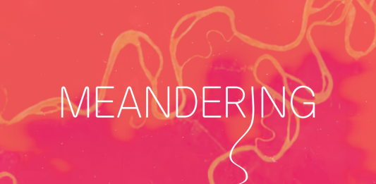 TBA21-Academy presenta el festival ‘Meandering, un manantial entre dos aguas’ (Córdoba)