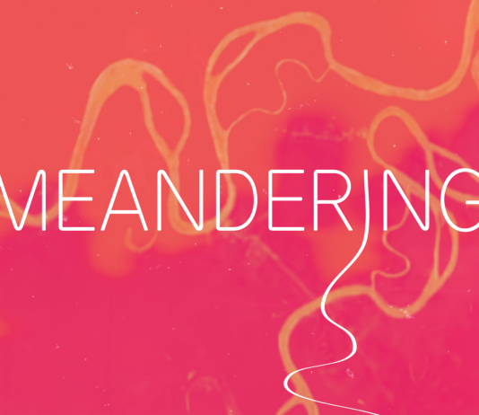 TBA21-Academy presenta el festival ‘Meandering, un manantial entre dos aguas’ (Córdoba)